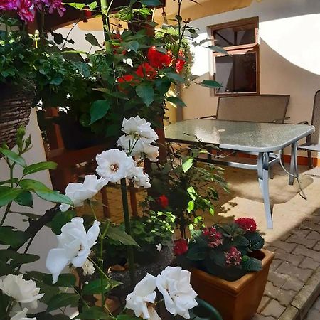 Ferienwohnung U Pani Malirky Valtice Exterior foto