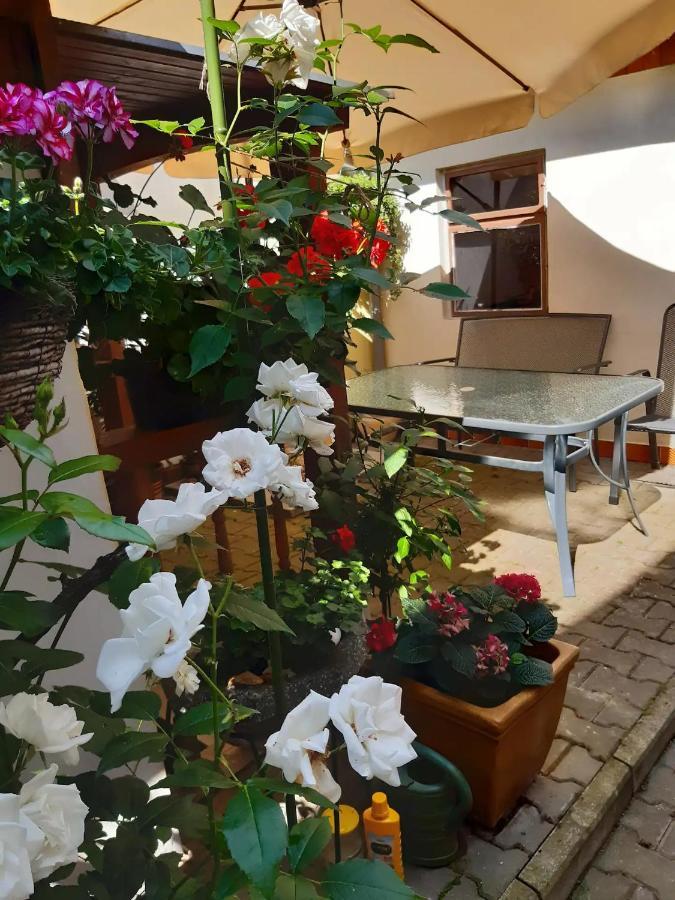 Ferienwohnung U Pani Malirky Valtice Exterior foto
