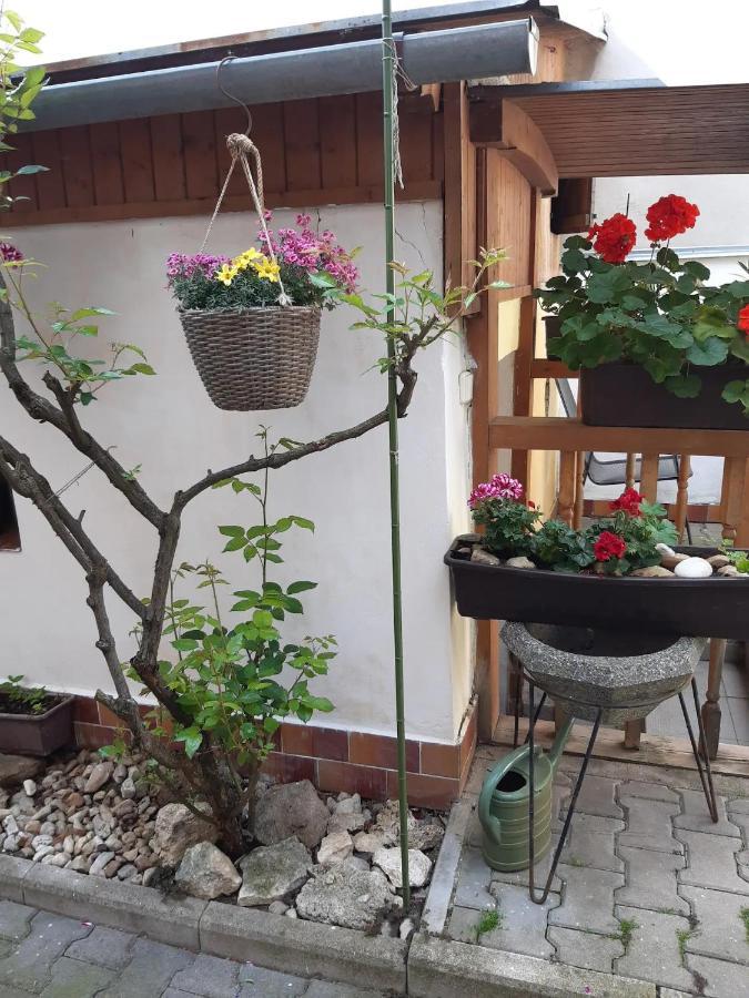 Ferienwohnung U Pani Malirky Valtice Exterior foto